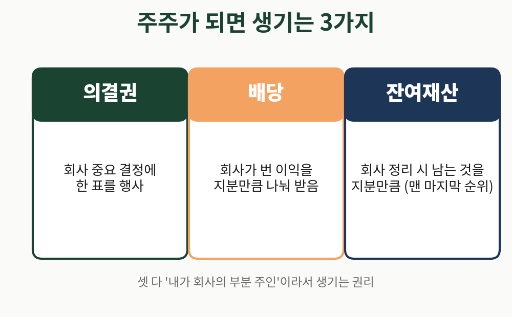 주주가 되면 생기는 세 가지, 의결권 배당 잔여재산